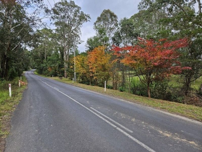 Photo - 60 Mount Scanzi Road, Kangaroo Valley NSW 2577 - Image 14