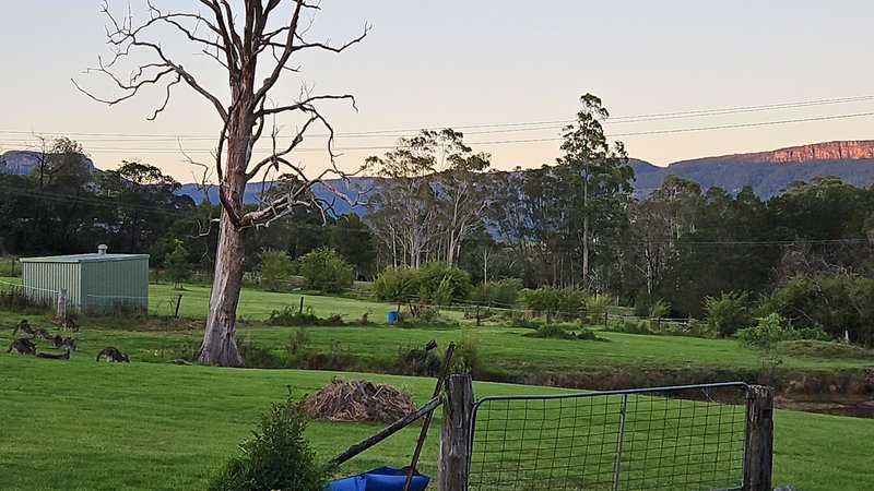 Photo - 60 Mount Scanzi Road, Kangaroo Valley NSW 2577 - Image 17