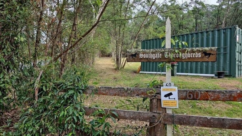 Photo - 60 Mount Scanzi Road, Kangaroo Valley NSW 2577 - Image 19