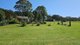 Photo - 60 Mount Scanzi Road, Kangaroo Valley NSW 2577 - Image 22