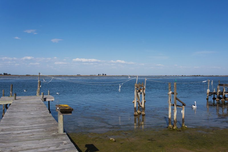 Photo - 60 Mundoo Channel Drive, Hindmarsh Island SA 5214 - Image 17