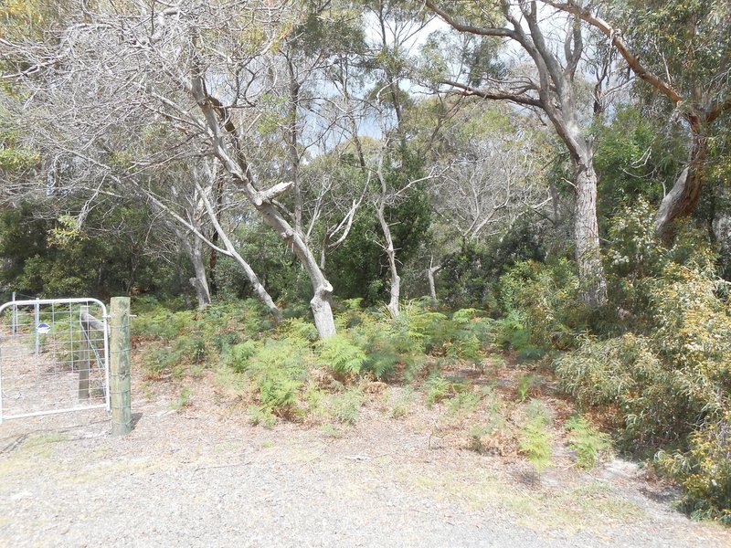 Photo - 60 North Ansons Bay Road, Ansons Bay TAS 7264 - Image 2