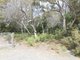 Photo - 60 North Ansons Bay Road, Ansons Bay TAS 7264 - Image 2