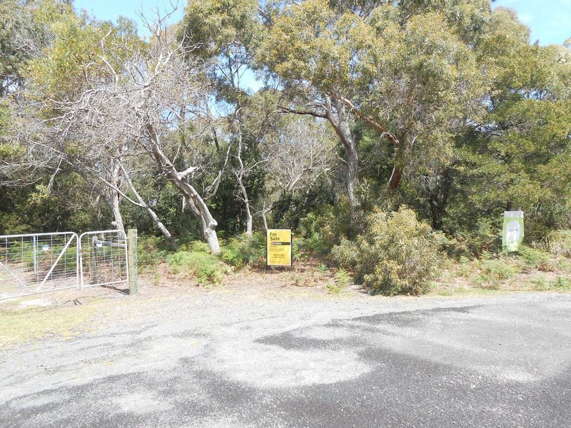 Photo - 60 North Ansons Bay Road, Ansons Bay TAS 7264 - Image 4