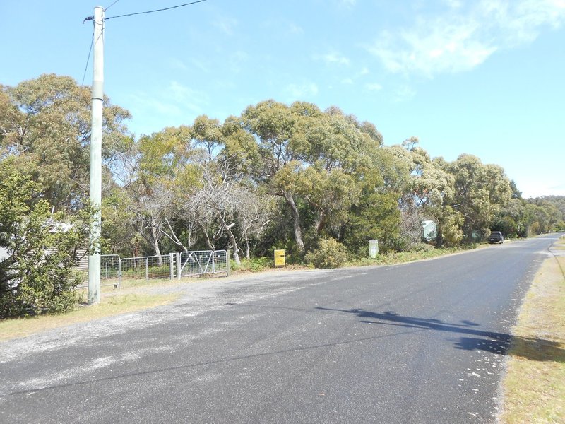 Photo - 60 North Ansons Bay Road, Ansons Bay TAS 7264 - Image 5