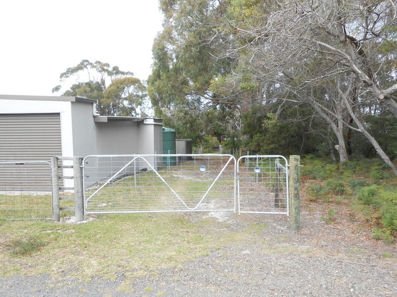 Photo - 60 North Ansons Bay Road, Ansons Bay TAS 7264 - Image 7