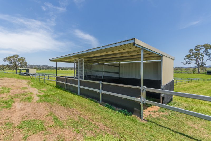 Photo - 60 Olearys Lane, Harlin QLD 4314 - Image 15