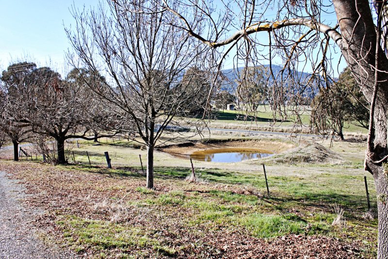 Photo - 60 Ramsay Road, Tumbarumba NSW 2653 - Image 16