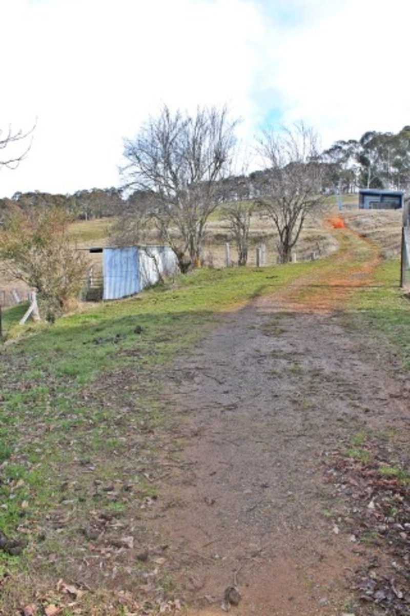 Photo - 60 Ramsay Road, Tumbarumba NSW 2653 - Image 20