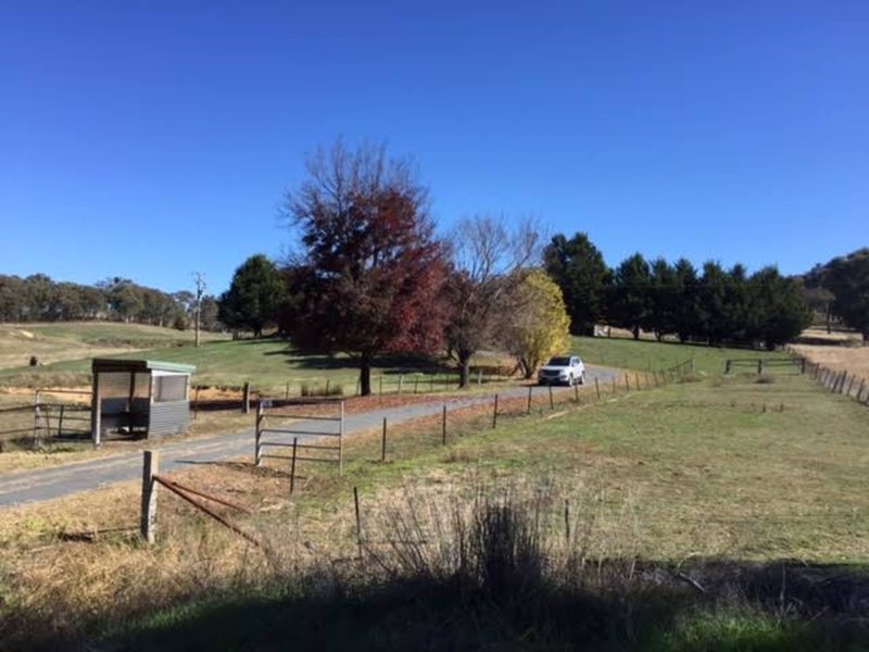 Photo - 60 Ramsay Road, Tumbarumba NSW 2653 - Image 21