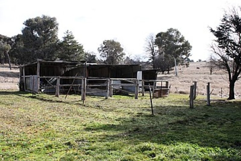 Photo - 60 Ramsay Road, Tumbarumba NSW 2653 - Image 24