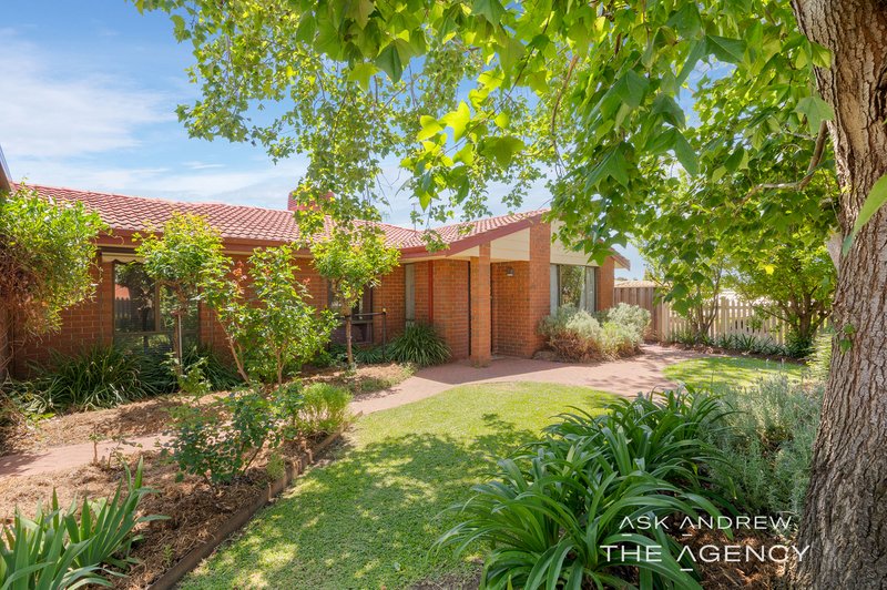 60 Rostrata Avenue, Willetton WA 6155