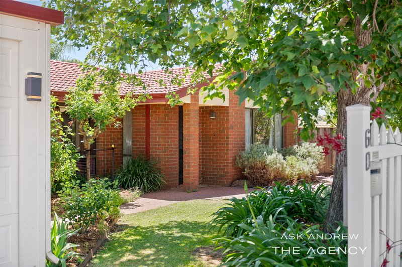 Photo - 60 Rostrata Avenue, Willetton WA 6155 - Image 3