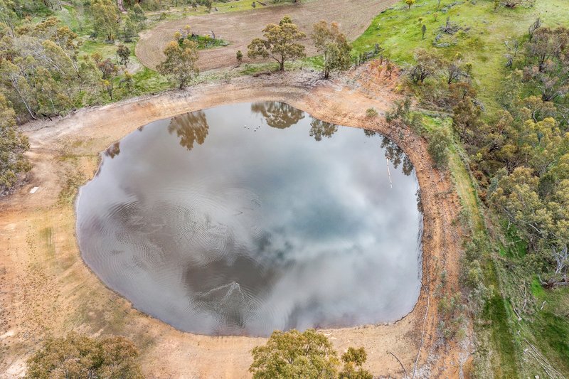 Photo - 60 Saw Mill Road, Sevenhill SA 5453 - Image 25