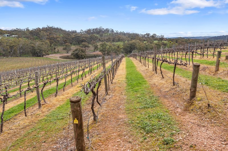 Photo - 60 Saw Mill Road, Sevenhill SA 5453 - Image 26