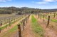 Photo - 60 Saw Mill Road, Sevenhill SA 5453 - Image 26