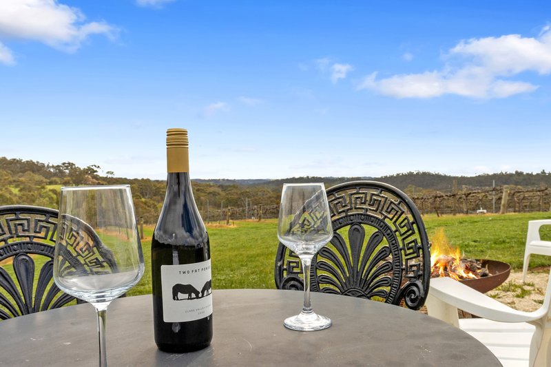 Photo - 60 Saw Mill Road, Sevenhill SA 5453 - Image 31