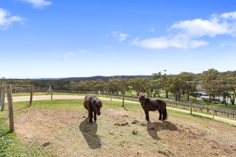 Photo - 60 Saw Mill Road, Sevenhill SA 5453 - Image 32