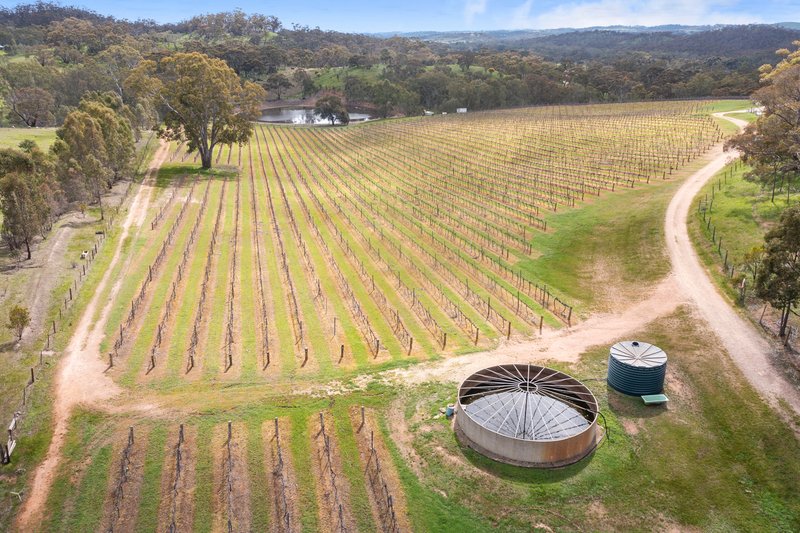 Photo - 60 Saw Mill Road, Sevenhill SA 5453 - Image 34