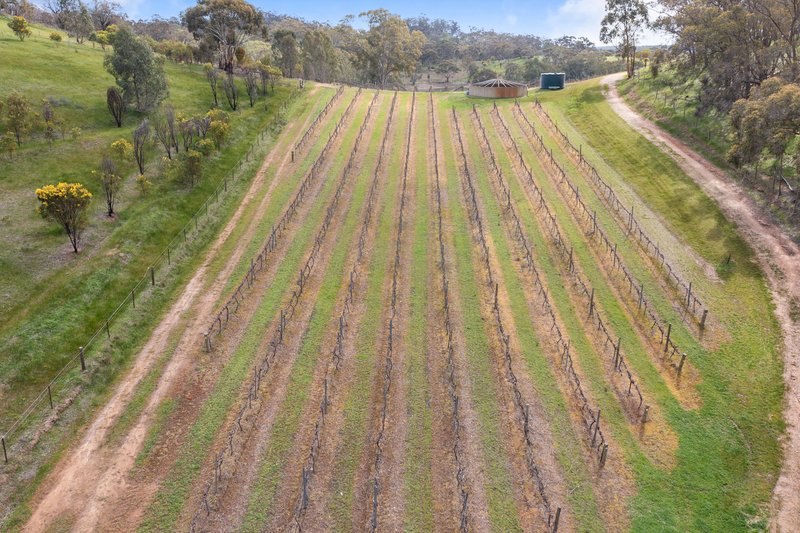 Photo - 60 Saw Mill Road, Sevenhill SA 5453 - Image 35