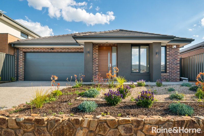 60 Scenery Drive, Craigieburn VIC 3064