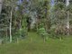 Photo - 60 Shellcot Street, Toogoom QLD 4655 - Image 18