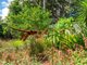 Photo - 60 Spring Street, East Lismore NSW 2480 - Image 16