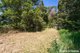 Photo - 60 Stanfield Lane, Black Mountain QLD 4563 - Image 20