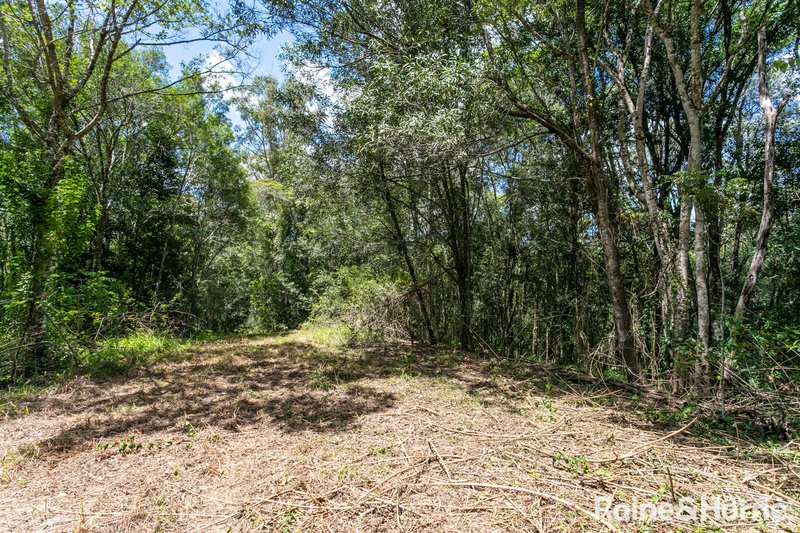 Photo - 60 Stanfield Lane, Black Mountain QLD 4563 - Image 22