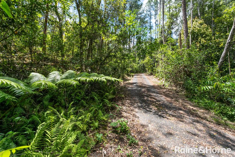 Photo - 60 Stanfield Lane, Black Mountain QLD 4563 - Image 23