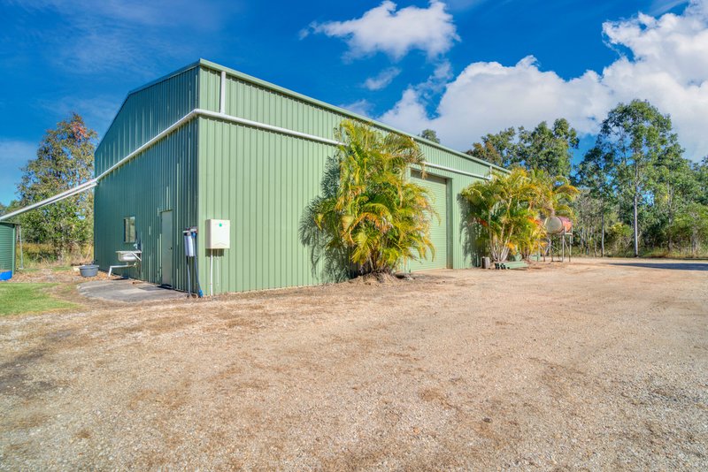 Photo - 60 Taunton Road, Euleilah QLD 4674 - Image 8