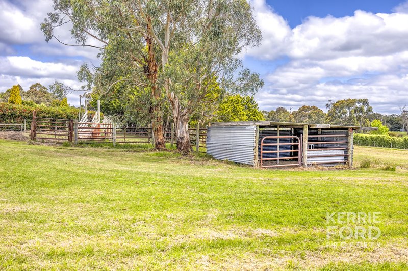 Photo - 60 Theresa Road, Hazelwood North VIC 3840 - Image 19