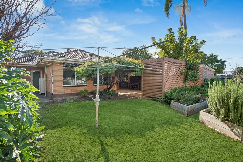Photo - 60 Vincent Street, South Plympton SA 5038 - Image 6