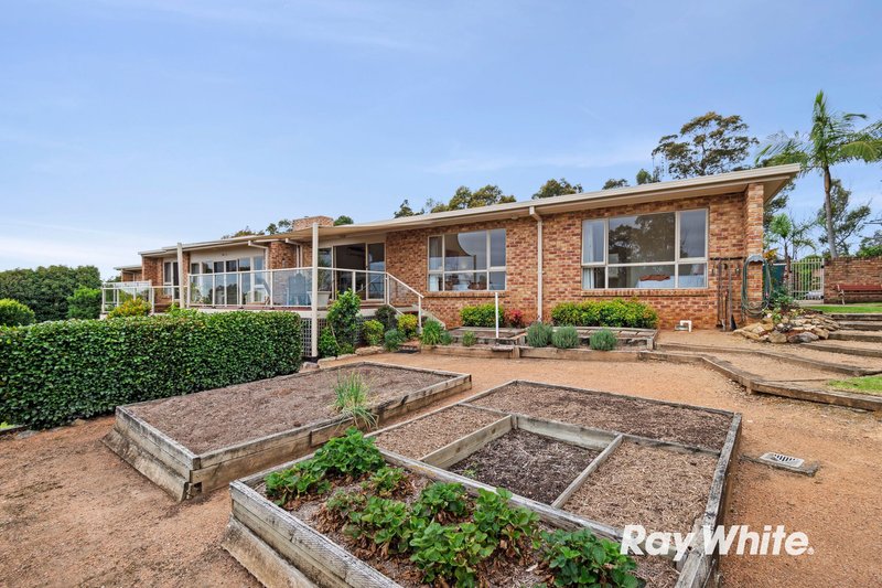 Photo - 60 Yarrabee Drive, Catalina NSW 2536 - Image 26