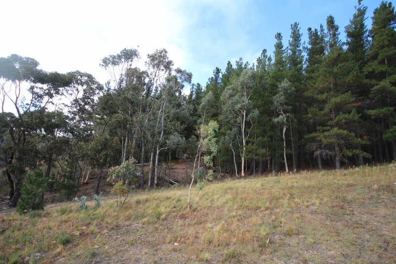 Photo - 600 Greywacke Road, Oberon NSW 2787 - Image 6