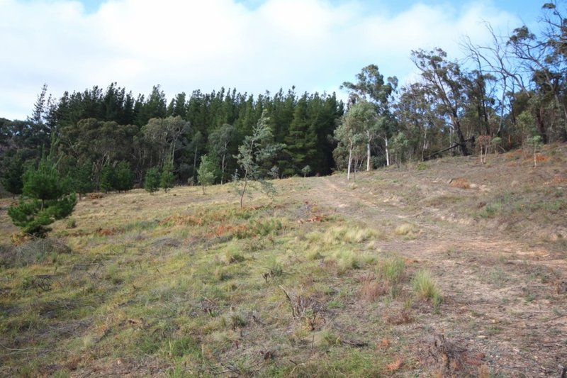 Photo - 600 Greywacke Road, Oberon NSW 2787 - Image 9