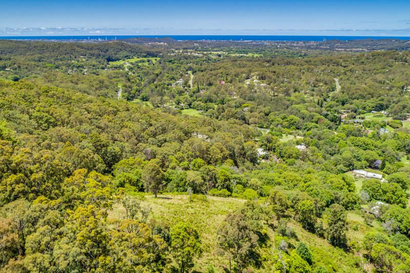 Photo - 600 Tallebudgera Creek Road, Tallebudgera Valley QLD 4228 - Image 21