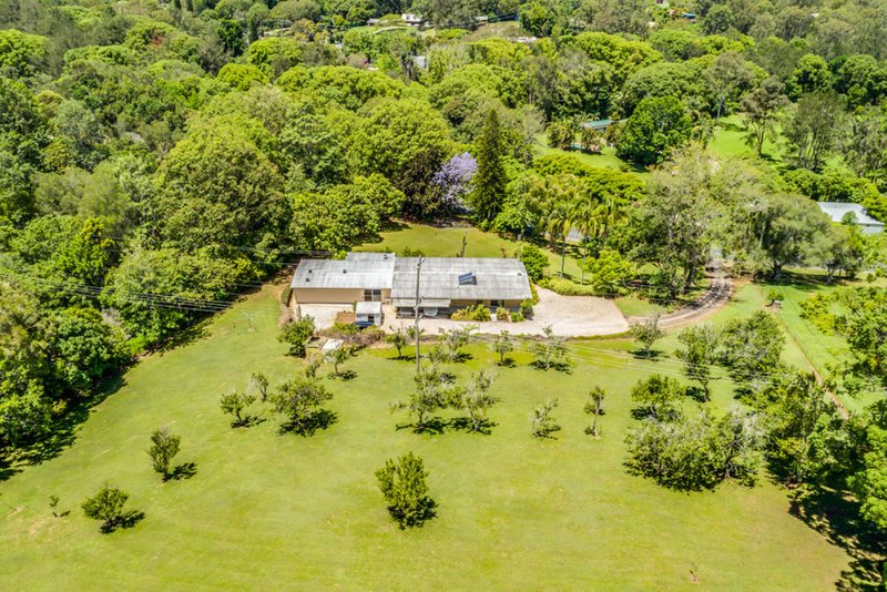 Photo - 600 Tallebudgera Creek Road, Tallebudgera Valley QLD 4228 - Image 23