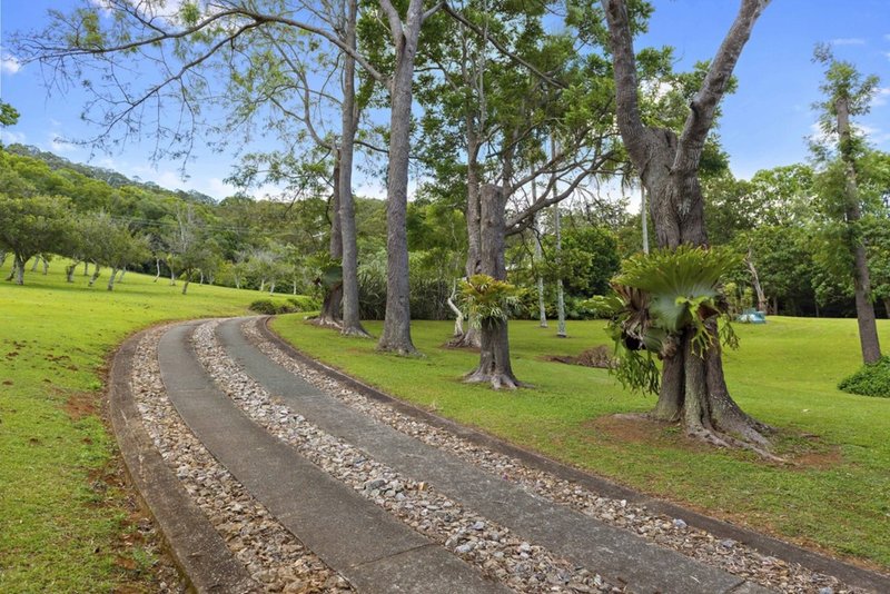 Photo - 600 Tallebudgera Creek Road, Tallebudgera Valley QLD 4228 - Image 25