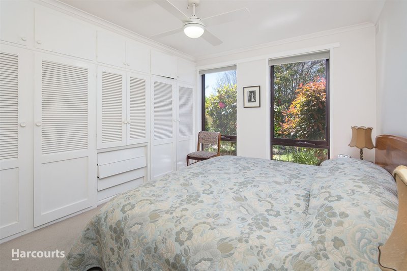 Photo - 601 Lydiard Street North, Soldiers Hill VIC 3350 - Image 6