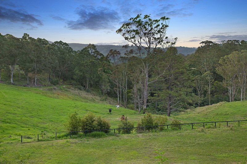 Photo - 601 Maleny-Kenilworth Road, Witta QLD 4552 - Image 7