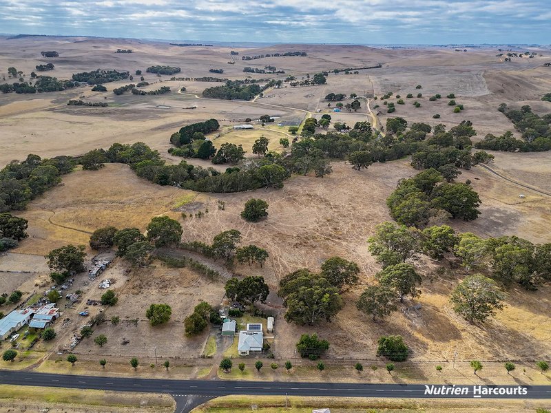 Photo - 6012 Portland-Casterton Road, Sandford VIC 3312 - Image 18