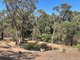 Photo - 603 De Motts Road, Anakie VIC 3213 - Image 26