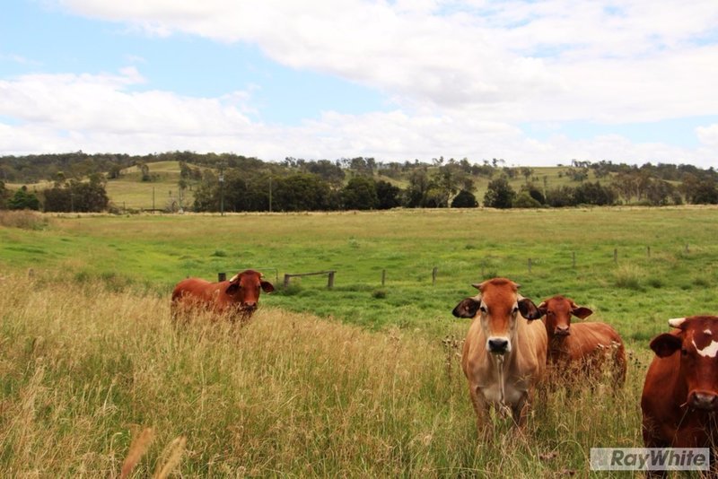 604 Running Creek Road, Running Creek QLD 4287