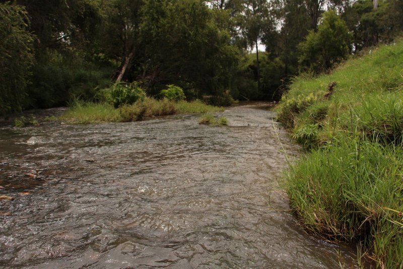 Photo - 604 Running Creek Road, Running Creek QLD 4287 - Image 3