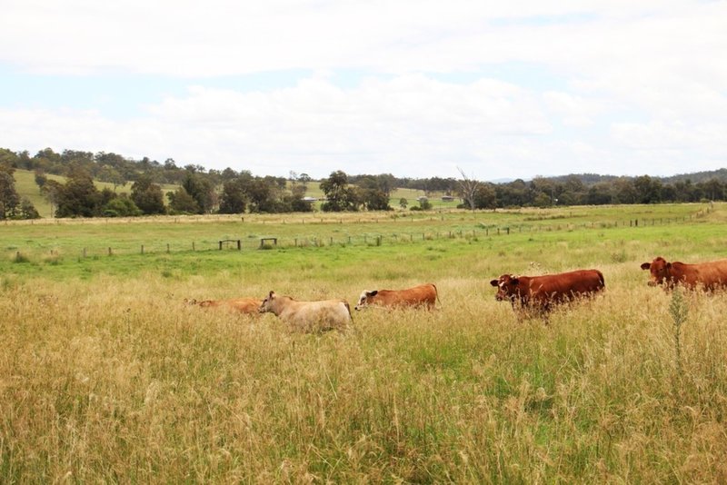 Photo - 604 Running Creek Road, Running Creek QLD 4287 - Image 10