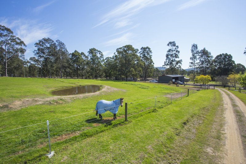 Photo - 604 Wallarobba-Brookfield Road, Dungog NSW 2420 - Image 3