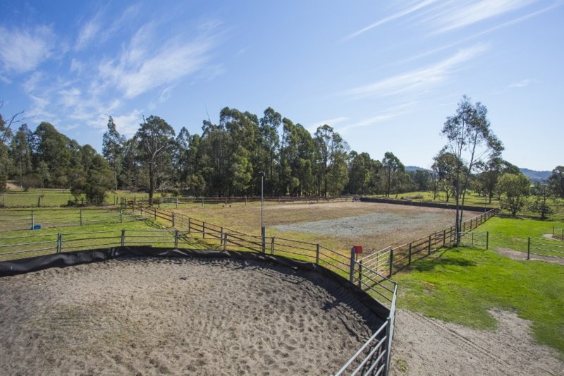 Photo - 604 Wallarobba-Brookfield Road, Dungog NSW 2420 - Image 17