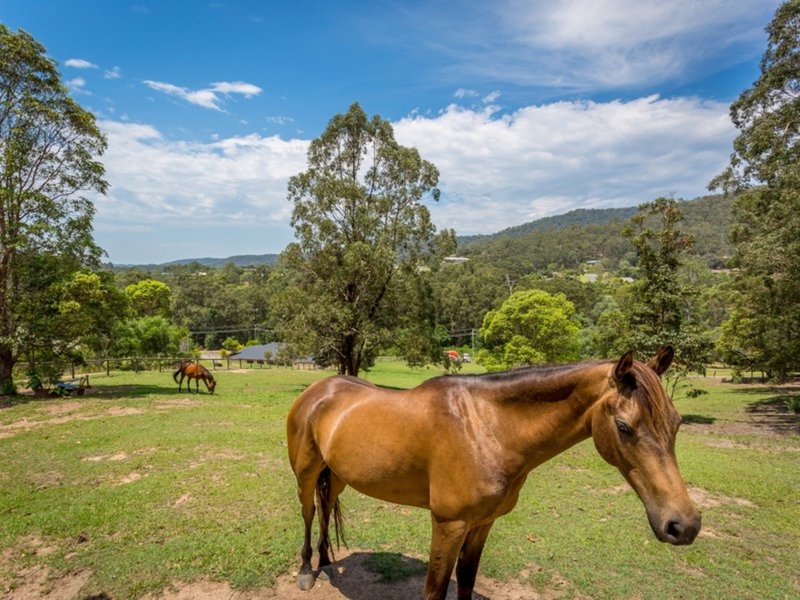 Photo - 605 Bonogin Road, Bonogin QLD 4213 - Image 4