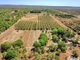 Photo - 605 Mocatto Road, Acacia Hills NT 0822 - Image 1